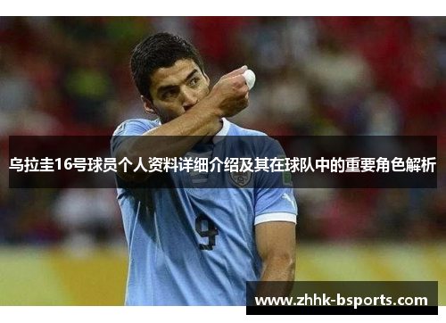 乌拉圭16号球员个人资料详细介绍及其在球队中的重要角色解析