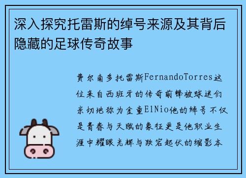 深入探究托雷斯的绰号来源及其背后隐藏的足球传奇故事 深入探究托雷斯的绰号来源及其背后隐藏的足球传奇故事