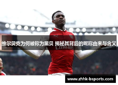 维尔贝克为何被称为黑贝 揭秘其背后的昵称由来与含义